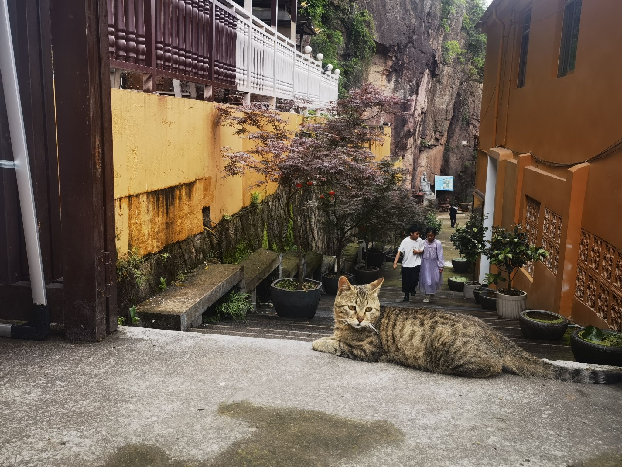 滴水岩公园-义乌市崇福寺实景照片