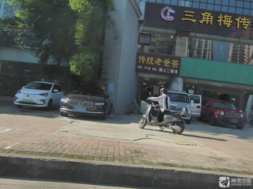 三角梅传统老爸茶
