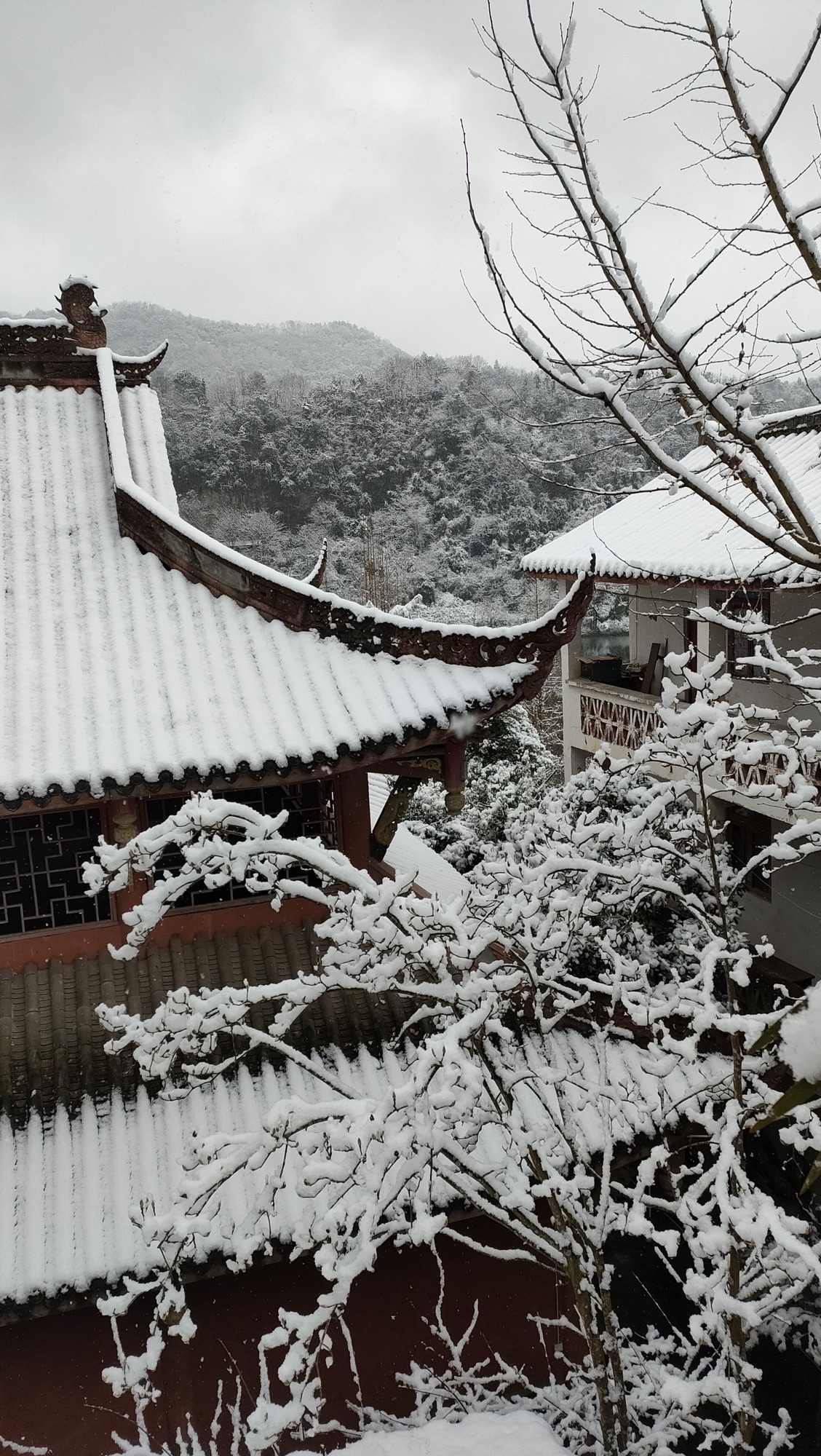 彭州市磁峰镇莲花寺实景照片