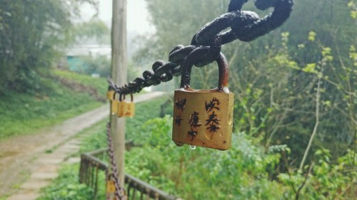 百里柳江凤凰河温泉生态旅游区旅行图片 3