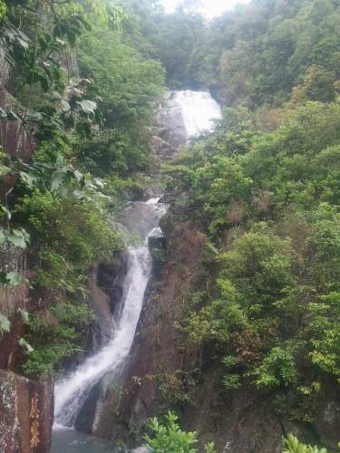 大帽山休闲农场旅行图片 3