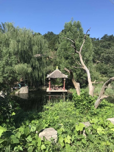 仙人谷景区旅行图片 2