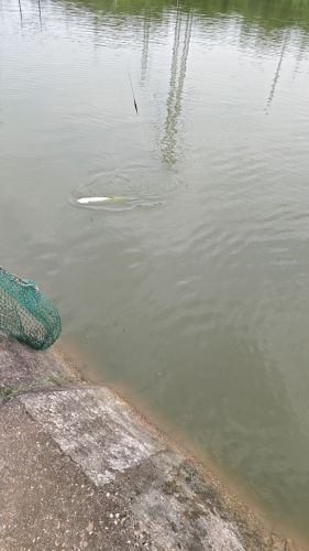 龙塘钓鱼台