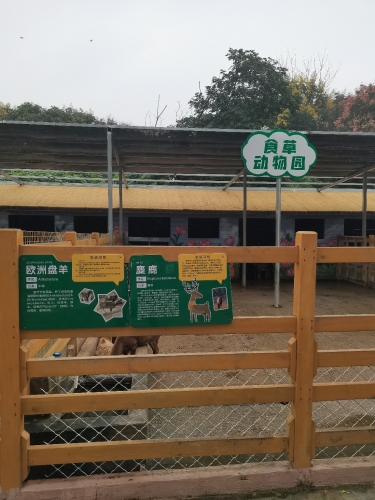 麋鹿