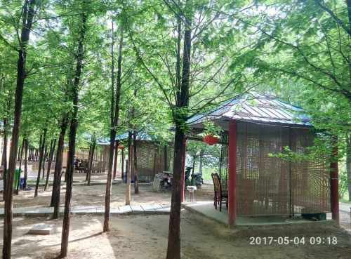 郊野公园旅行图片 3