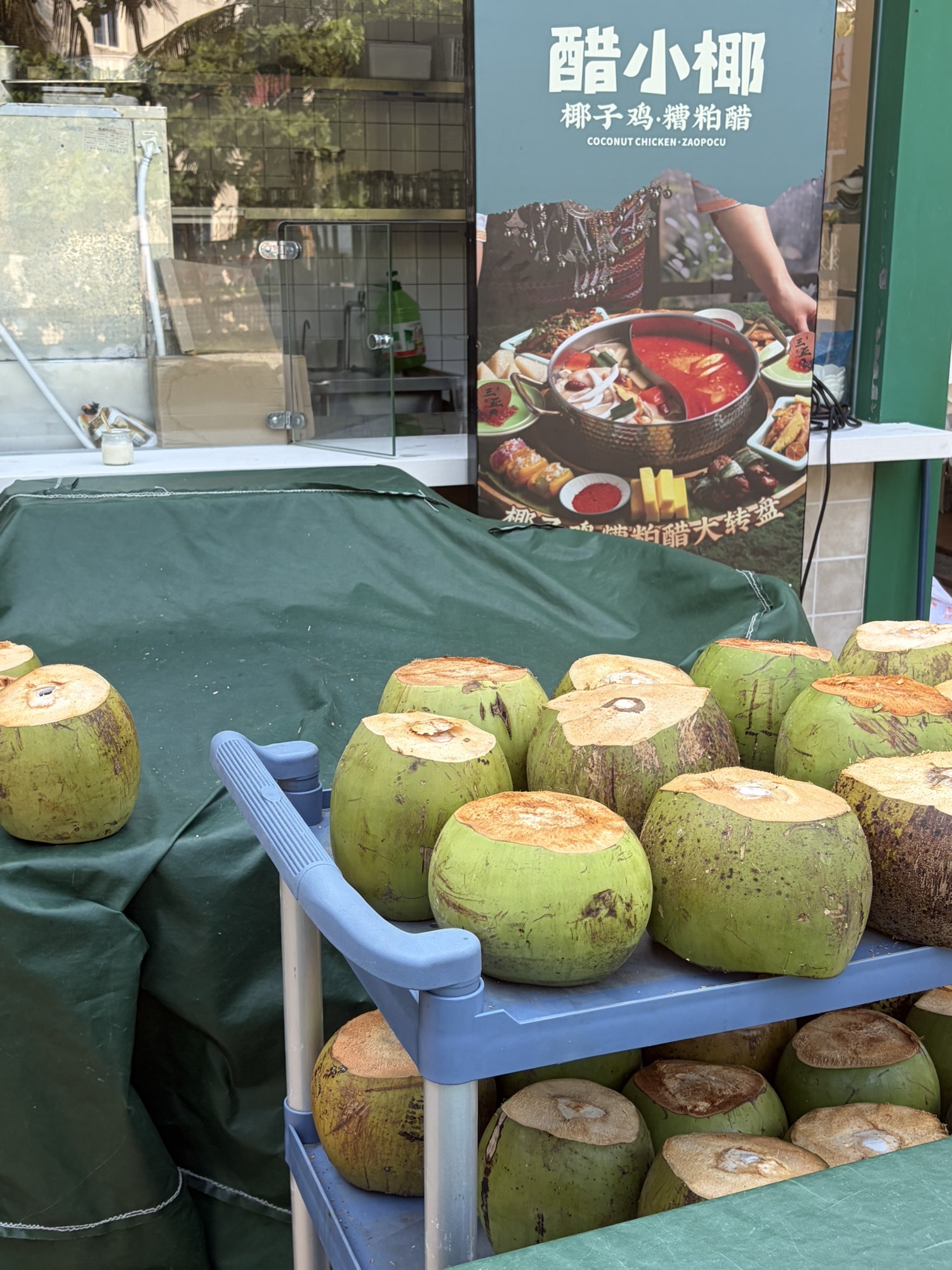 醋小椰·海南椰子鸡·糟粕醋(凤凰机场店)