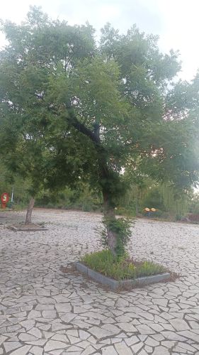 水秀公园