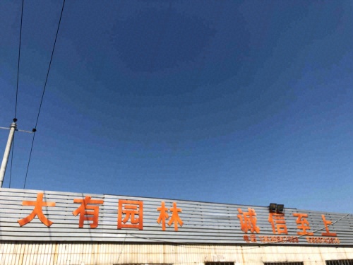 定州市大有园林绿化工程有限公司
