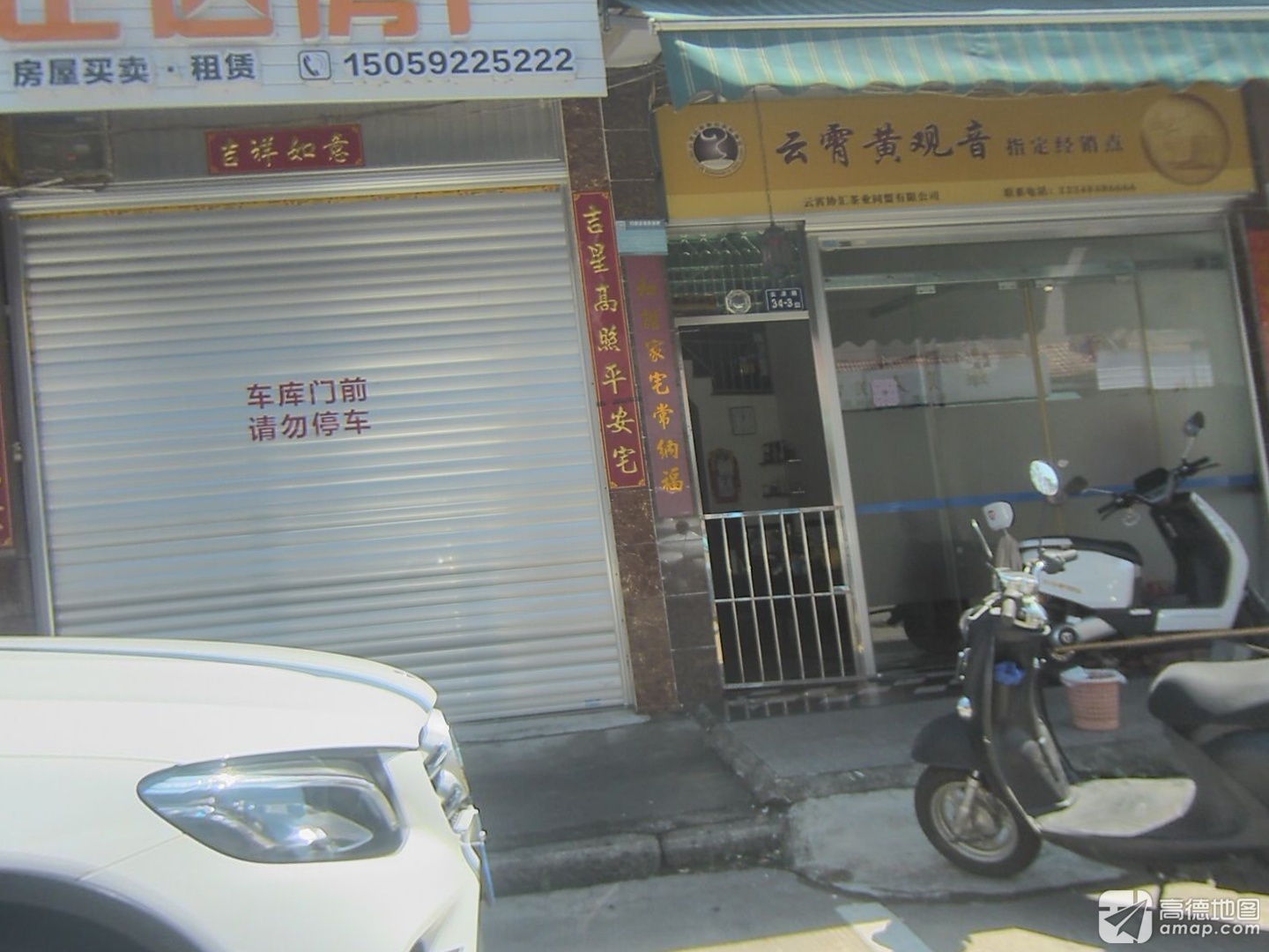 云霄黄观音实景照片