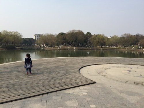 西园旅行图片 1