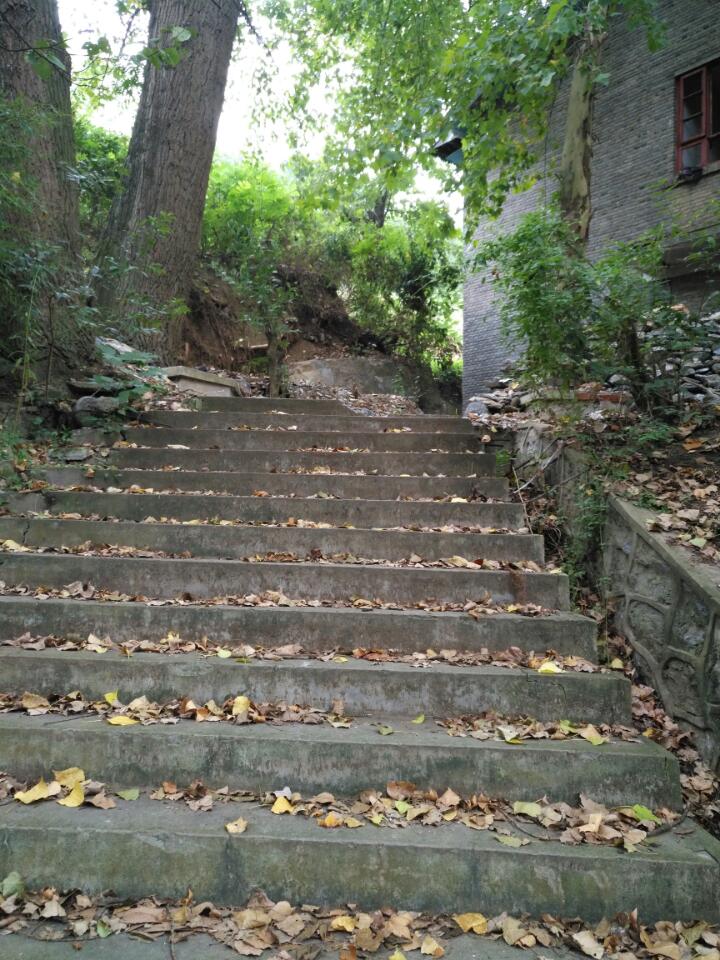 温泉寺实景照片