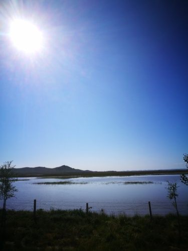 嘎达布其镇天然湿地景观旅行图片 2