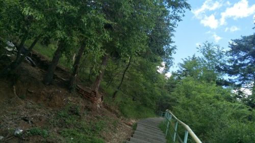 青龙山公园旅行图片 3