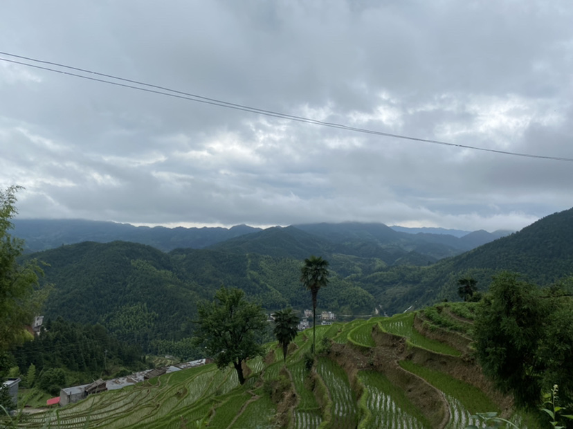 桃坪地母庙实景照片