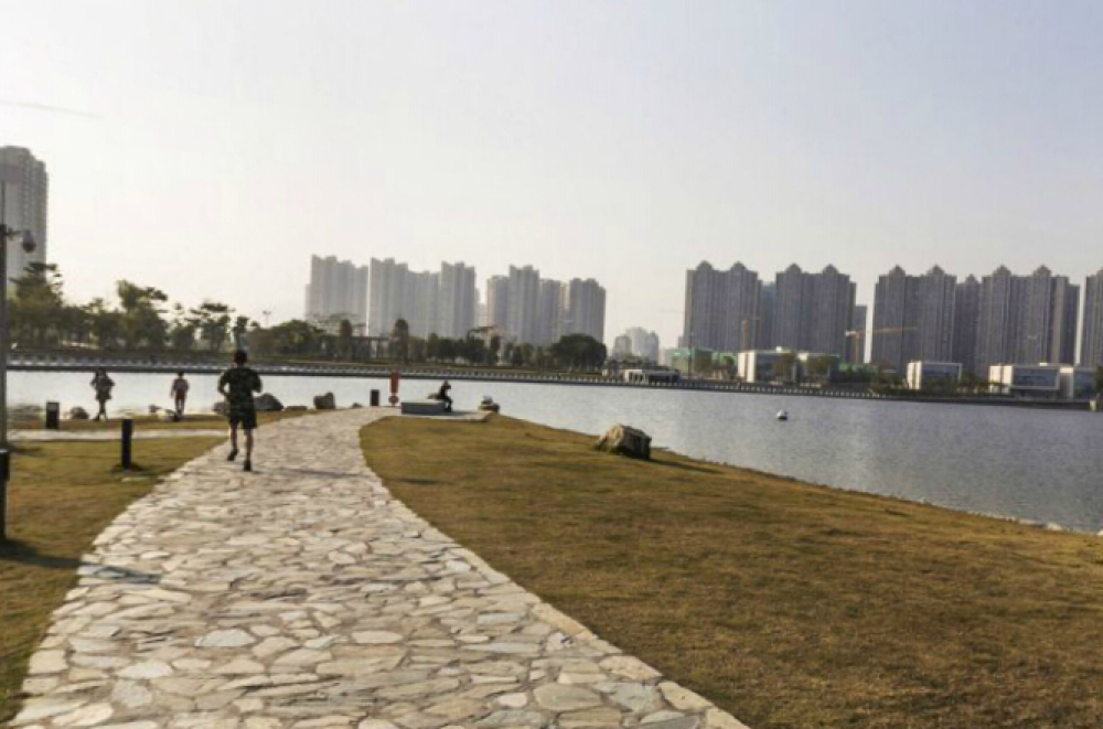 碧湖生态公园景点图片
