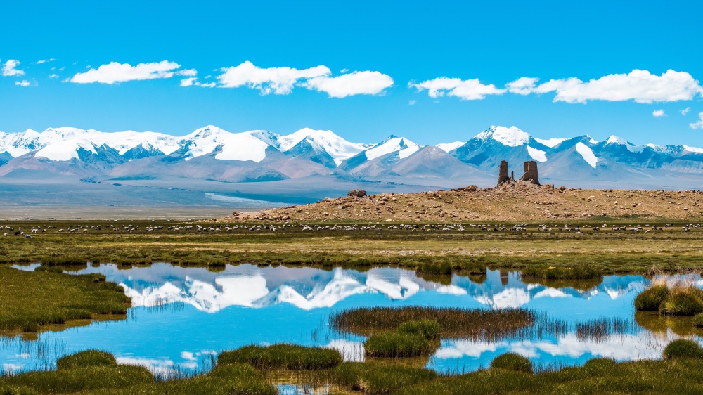 珠穆朗玛峰国家级自然保护区景点图片