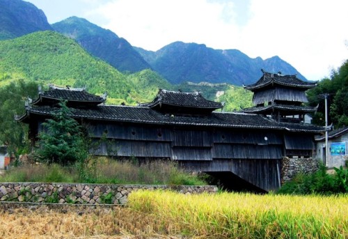 如龙桥旅行图片 2