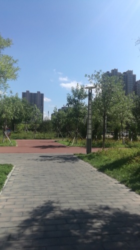 双金公园旅行图片 2