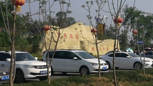 天府花海·蝶彩花卉园旅行图片 3