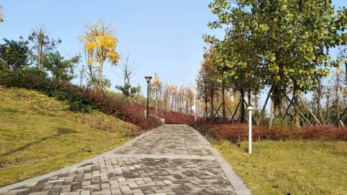 凤凰生态公园旅行图片 2