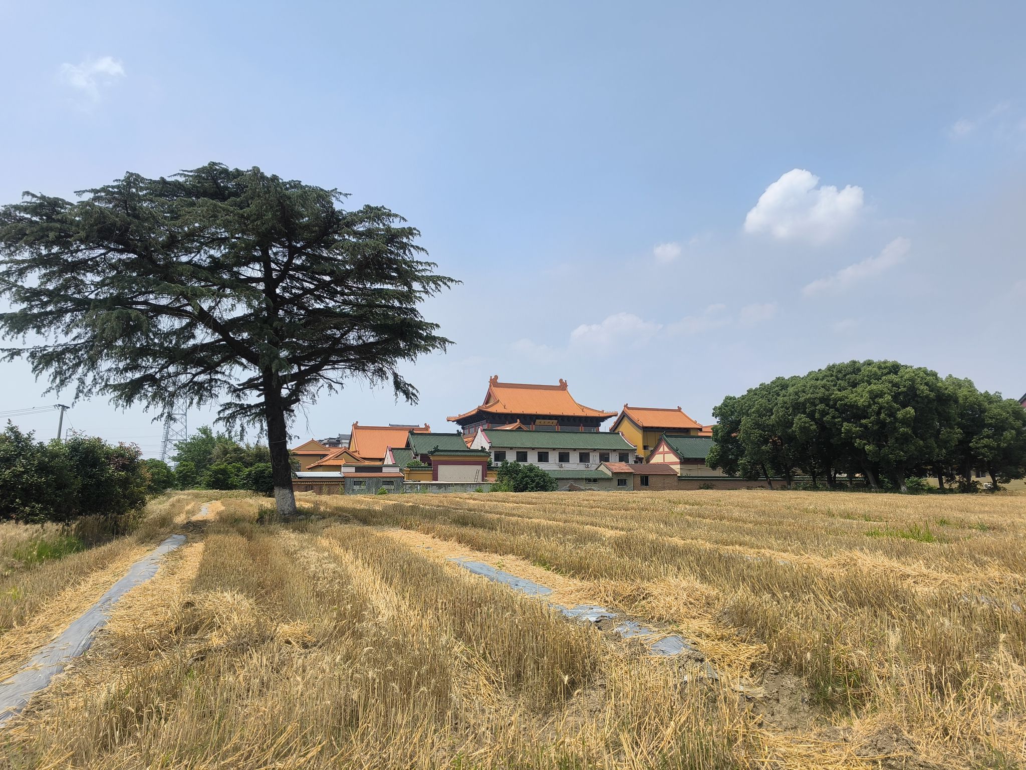 南广教寺实景照片