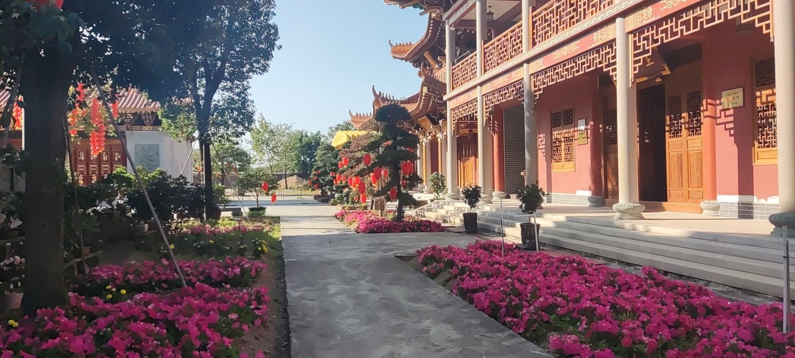 普宁市洪阳镇龙庆禅寺实景照片