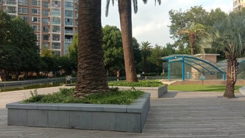 正阳中央公园旅行图片 1