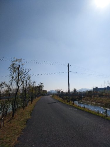 振湖塔旅行图片 1