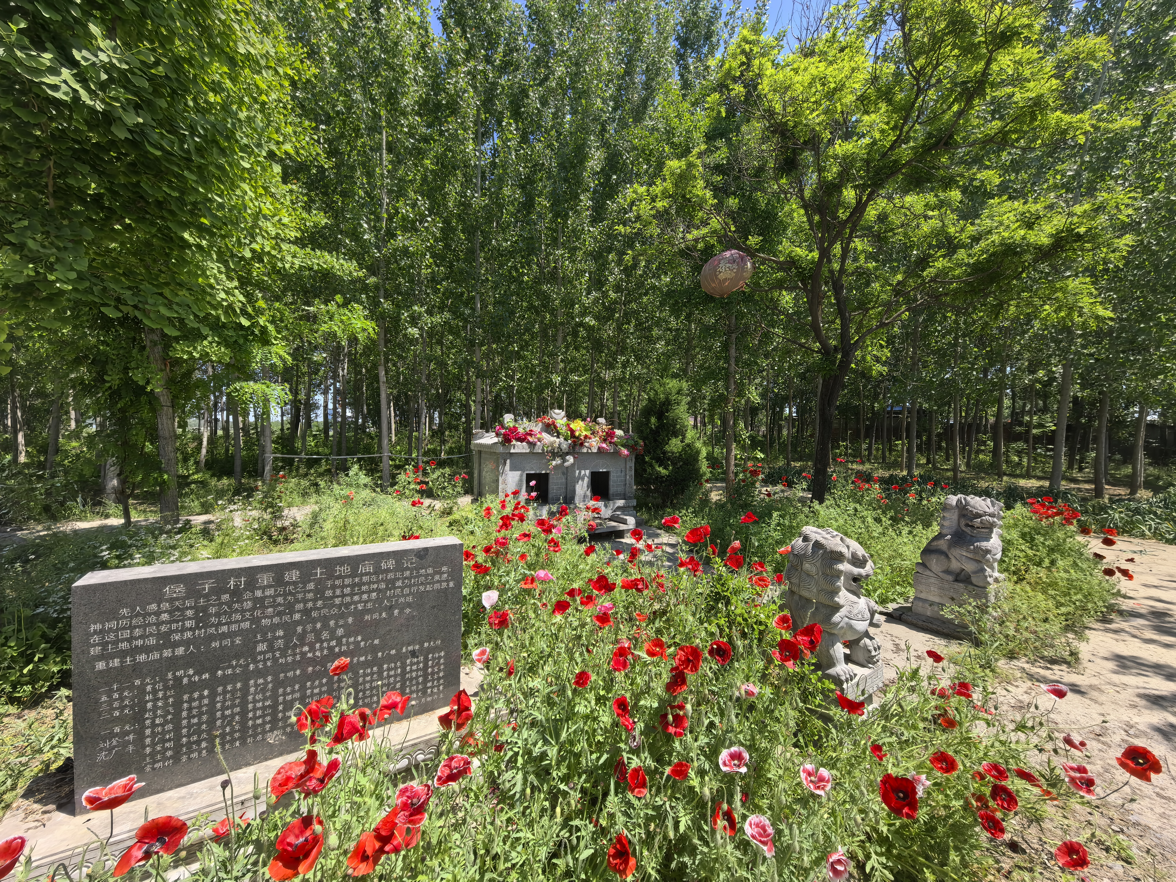 堡子村土地庙实景照片