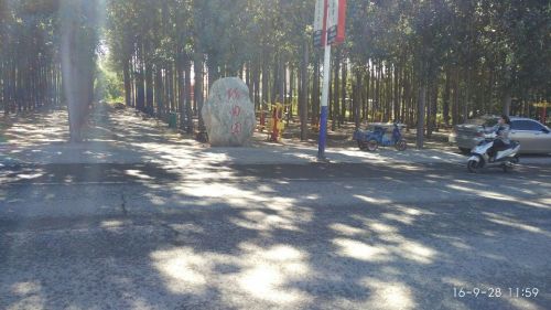怡闲园旅行图片 2