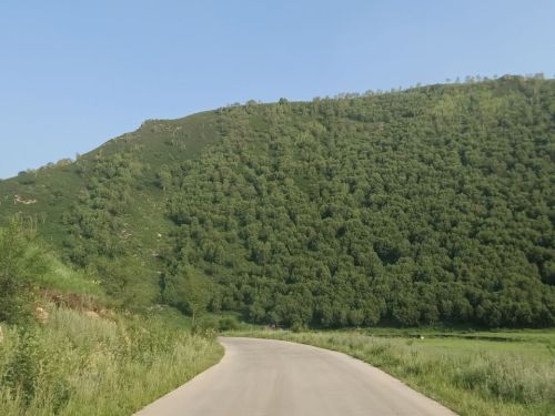 百花谷旅行图片 1
