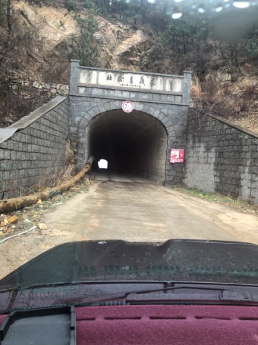 小园庙森林风景区旅行图片 3