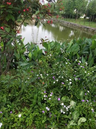 富竹公园旅行图片 3
