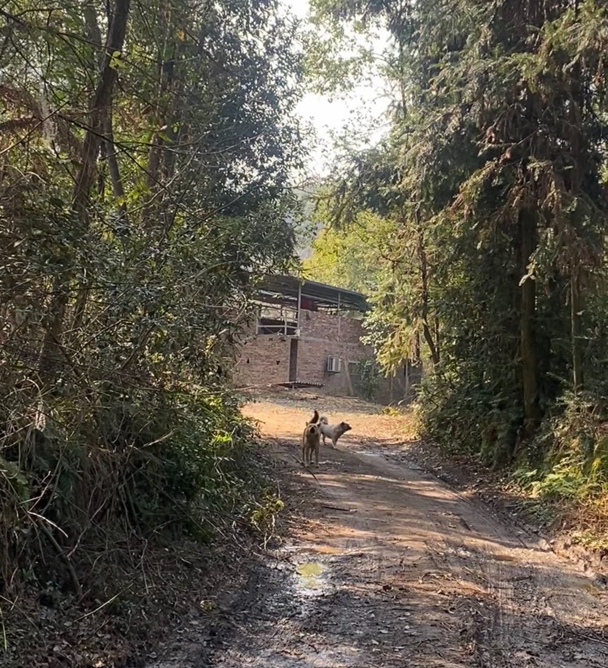 玄真观实景照片