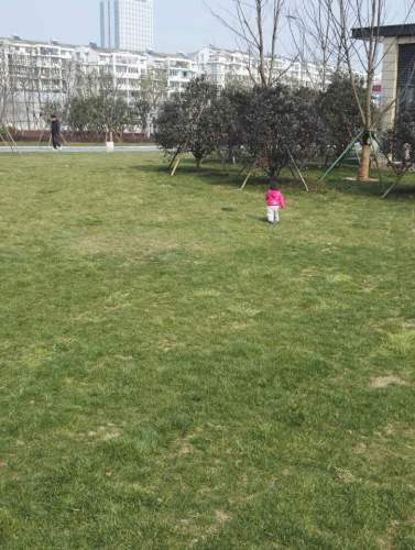 夏禹公园旅行图片 1