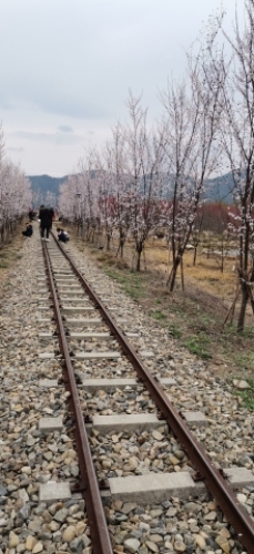 小隐竹源景区旅行图片 1