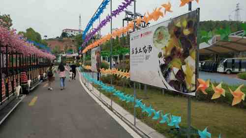 子胥湖文化公园旅行图片 3