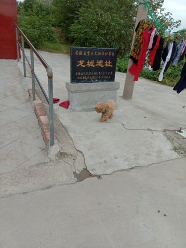 龙城遗址旅行图片 1