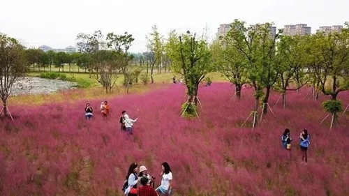 凤栖湖公园旅行图片 2