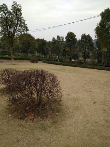 东湖公园旅行图片 2
