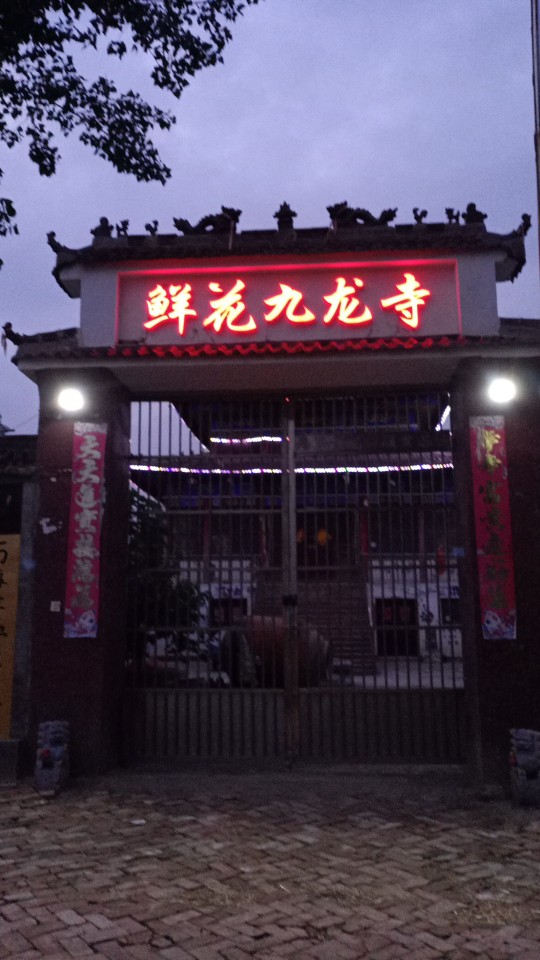 鲜花九龙寺实景照片