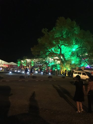柯城区石梁溪健康步道旅行图片 1