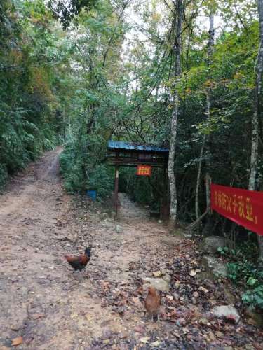 大梭生态峡谷群旅行图片 2