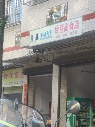 玲丽副食店