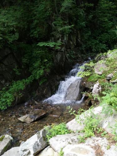 威虎山九寨(暂停开放)旅行图片 2