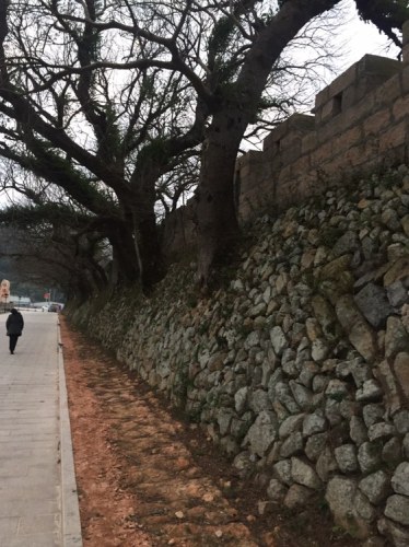 传胪城堡旅行图片 2