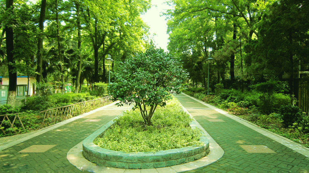 和平公园景点图片