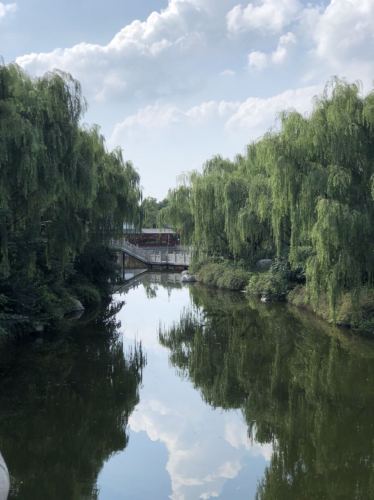 宗泽园旅行图片 3