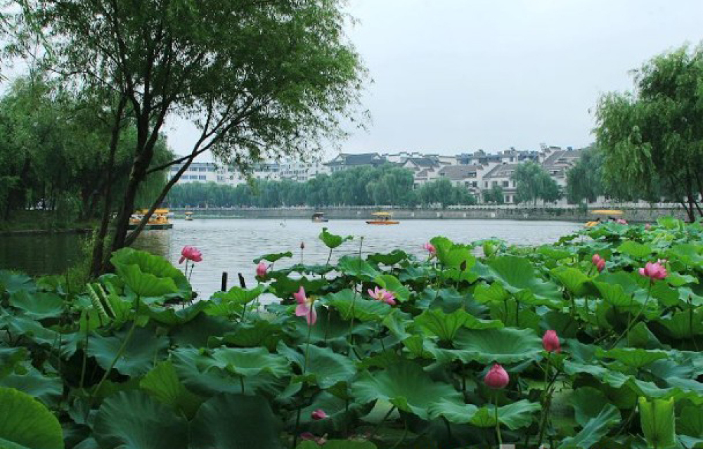 荷花池公园景点图片