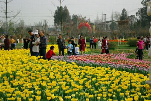 什邡花样年华景区旅行图片 2